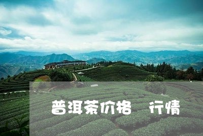 普洱茶价格 行情/2023041063048